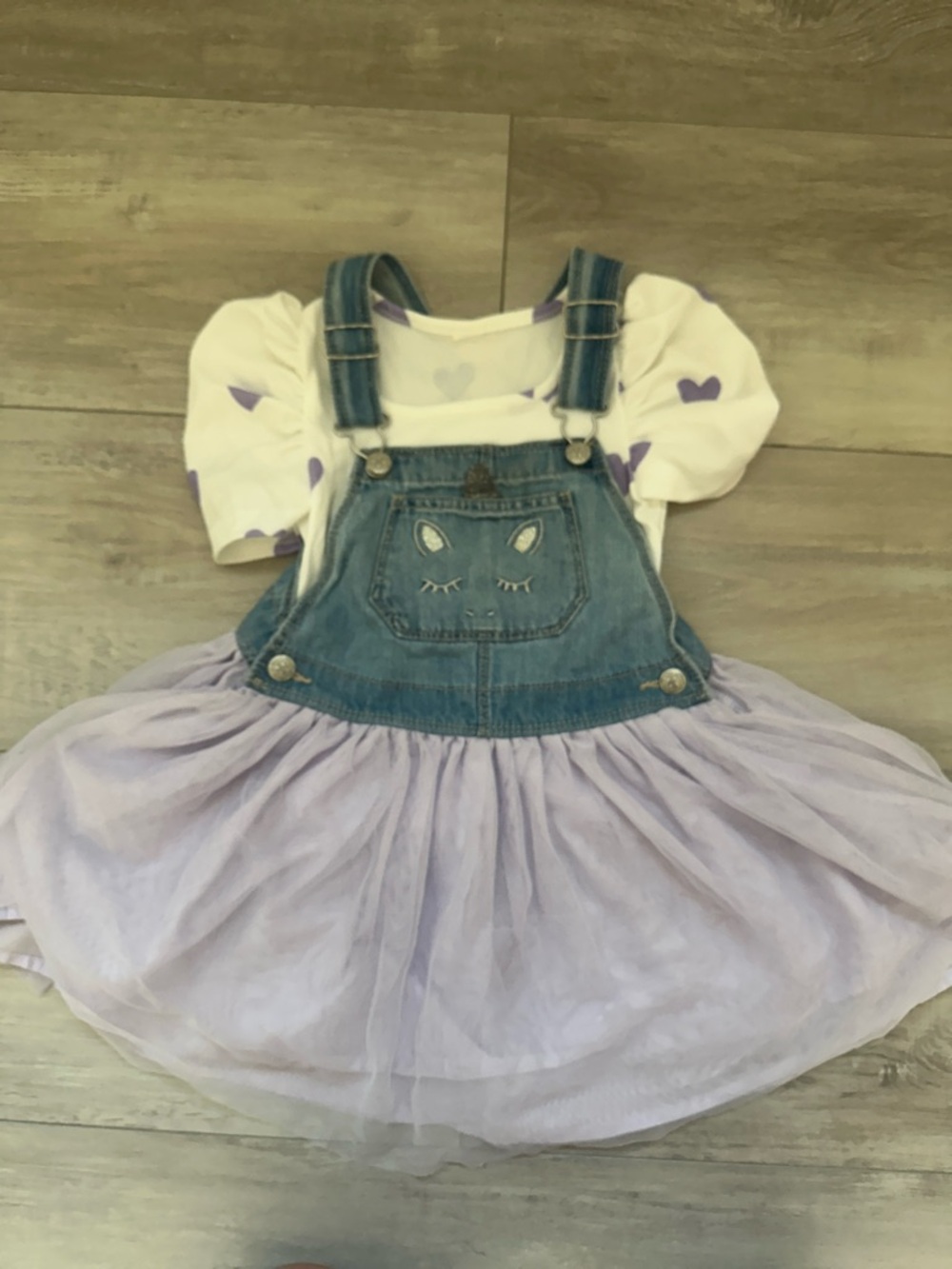Oshkosh B’gish Denim Overall Tulle Skirt And shirt with Purple Hearts size 5t